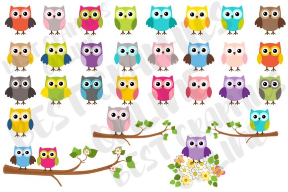 Download Owl Clipart, Owl Cute Owls Graphics Set - Cute Collection