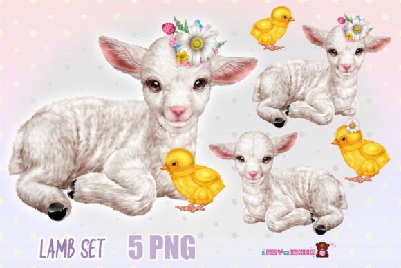 Download Cute Baby Lamb PNG Set - Cute Collection